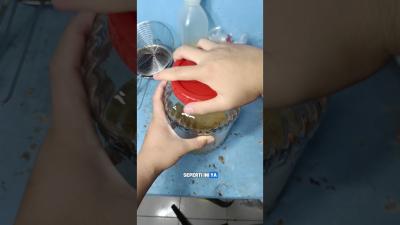 Eksperimen nyobain bikin GINGER BUG atau soda alami probiotik tanpa kimia dan pengawet