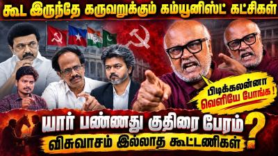 Journalist Mani  சநதல பலஜய ஆதரததடன படதத பலஸ  Mani Interview  TVK  CM Vijay