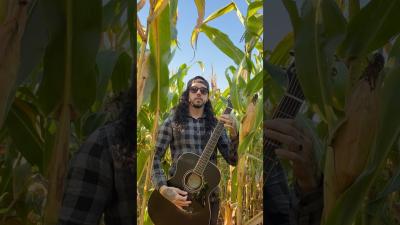 KORN  Blind acoustic guitar cover