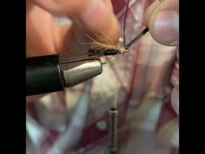 Small Dragonfly  Texas Flies
