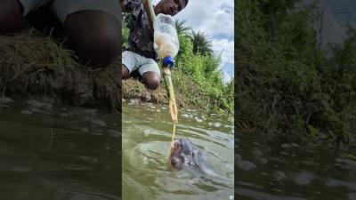 Unbelievable fishing trap video reels fishing trap reels video shorts